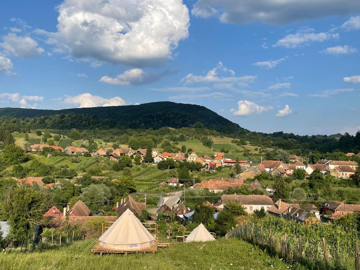 Saschiz 130/Lodging&Glamping Exterior foto