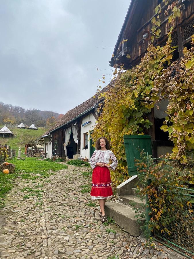 Saschiz 130/Lodging&Glamping Exterior foto