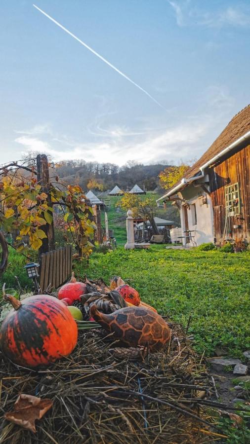 Saschiz 130/Lodging&Glamping Exterior foto