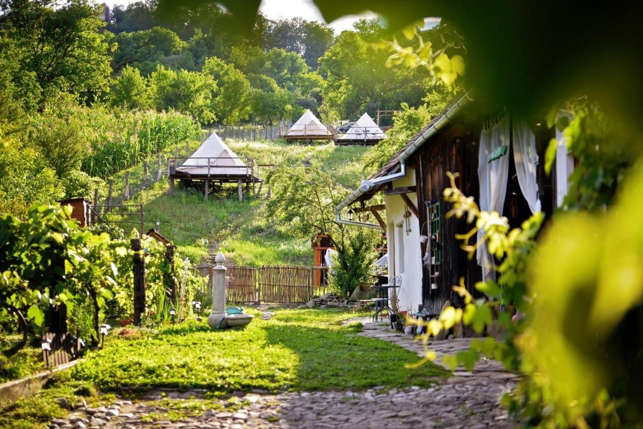 Saschiz 130/Lodging&Glamping Exterior foto